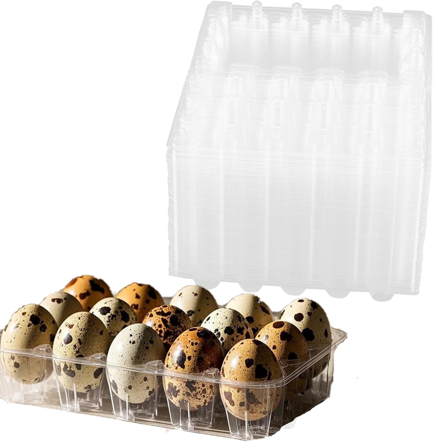 100PCS 15-Grid Clear Plastic Quail Egg Cartons for Kitchen Storage