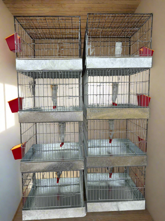 4 Full Cages size 20 x 20 x 20 ea with feeder & driker included. (956)270-2810 for additional info o more options.