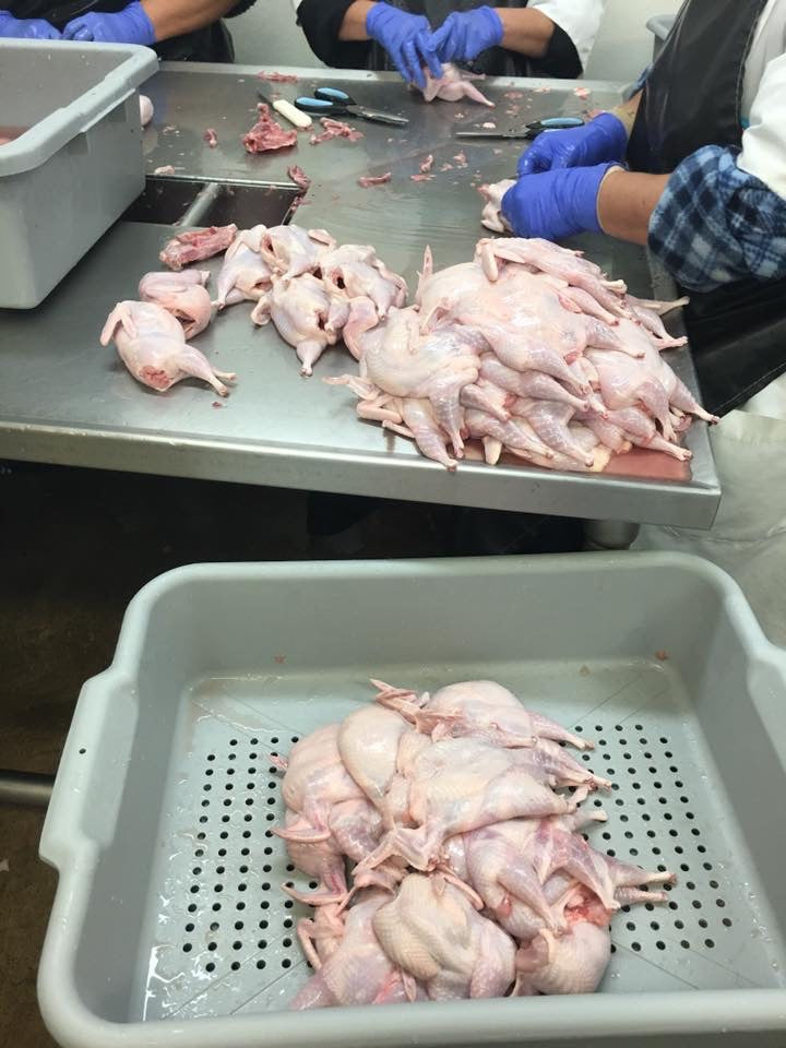 8 Whole Quail - for now this product is only available for Pick up at the Farm