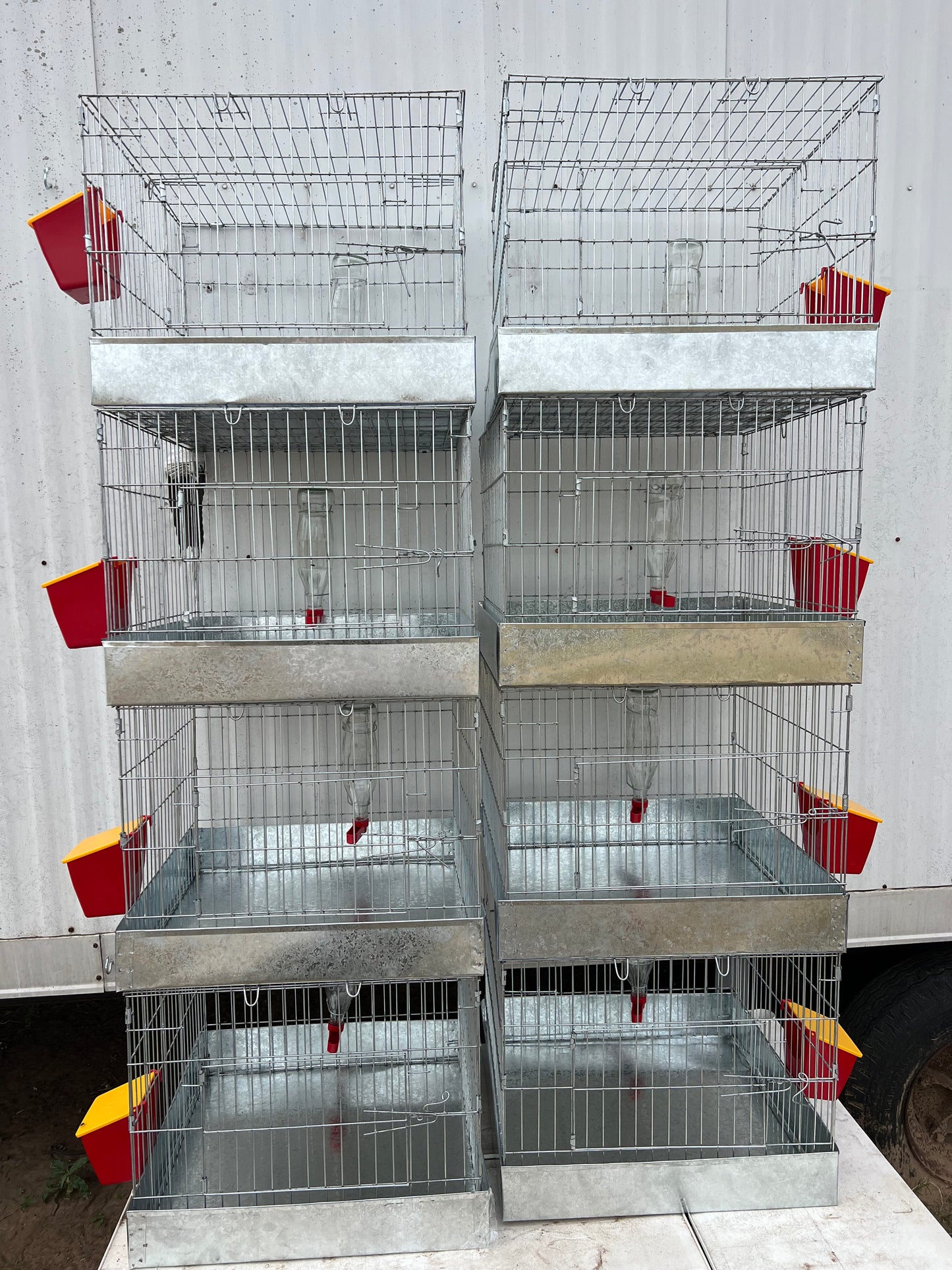 4 Full Cages size 20 x 20 x 16 ea with feeder & driker included. (956)270-2810 for additional info o more options.