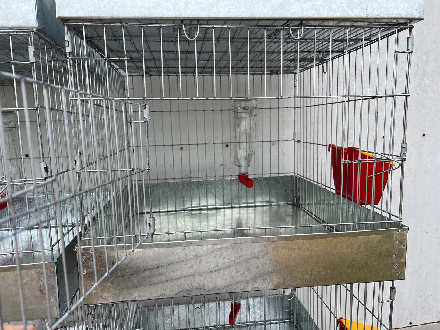 4 Full Cages size 20 x 20 x 16 ea with feeder & driker included. (956)270-2810 for additional info o more options.