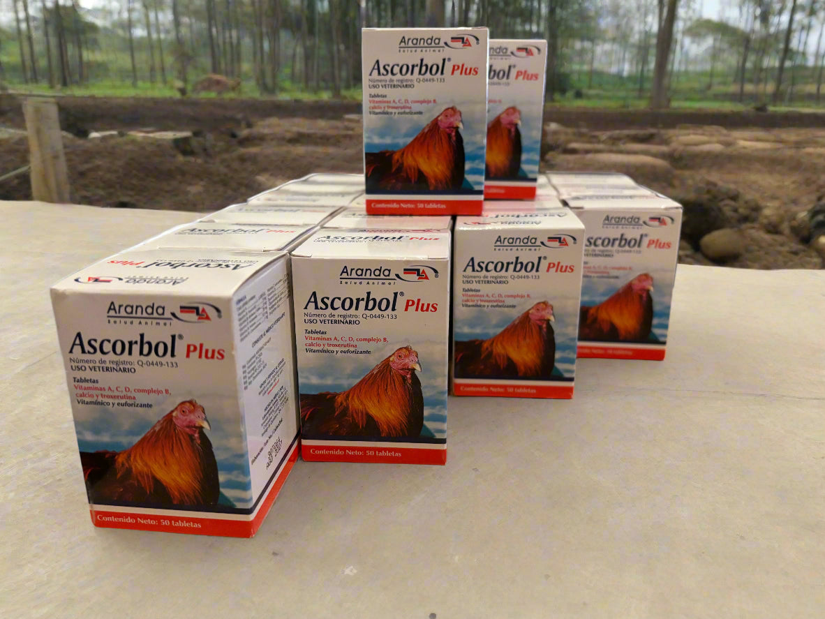 ASCORBOL PLUS 50 TABLETAS