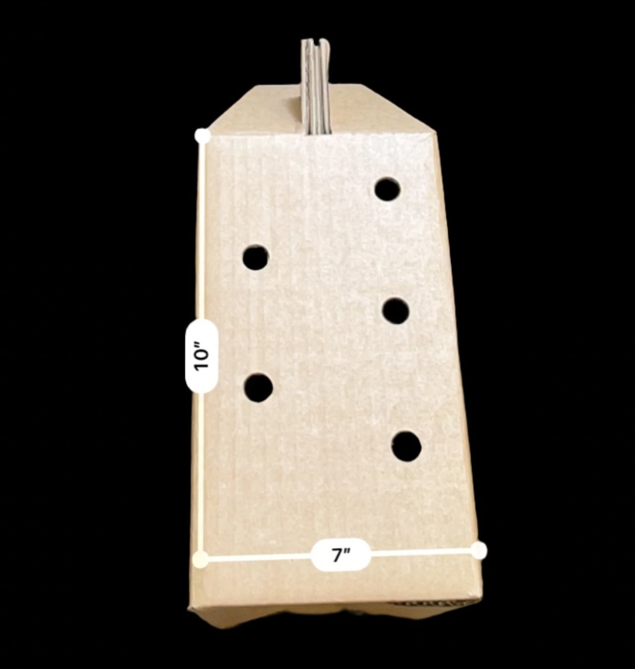 10 CARRYING BOXES FOR KIKIRIKIS ROOSTER / 10 CAJAS TRANSPORTADORA PARA GALLO KIKIRIKIS /