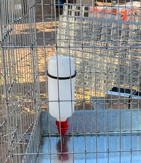 1.25 Lt Plastic Bottle Hanging Drinker