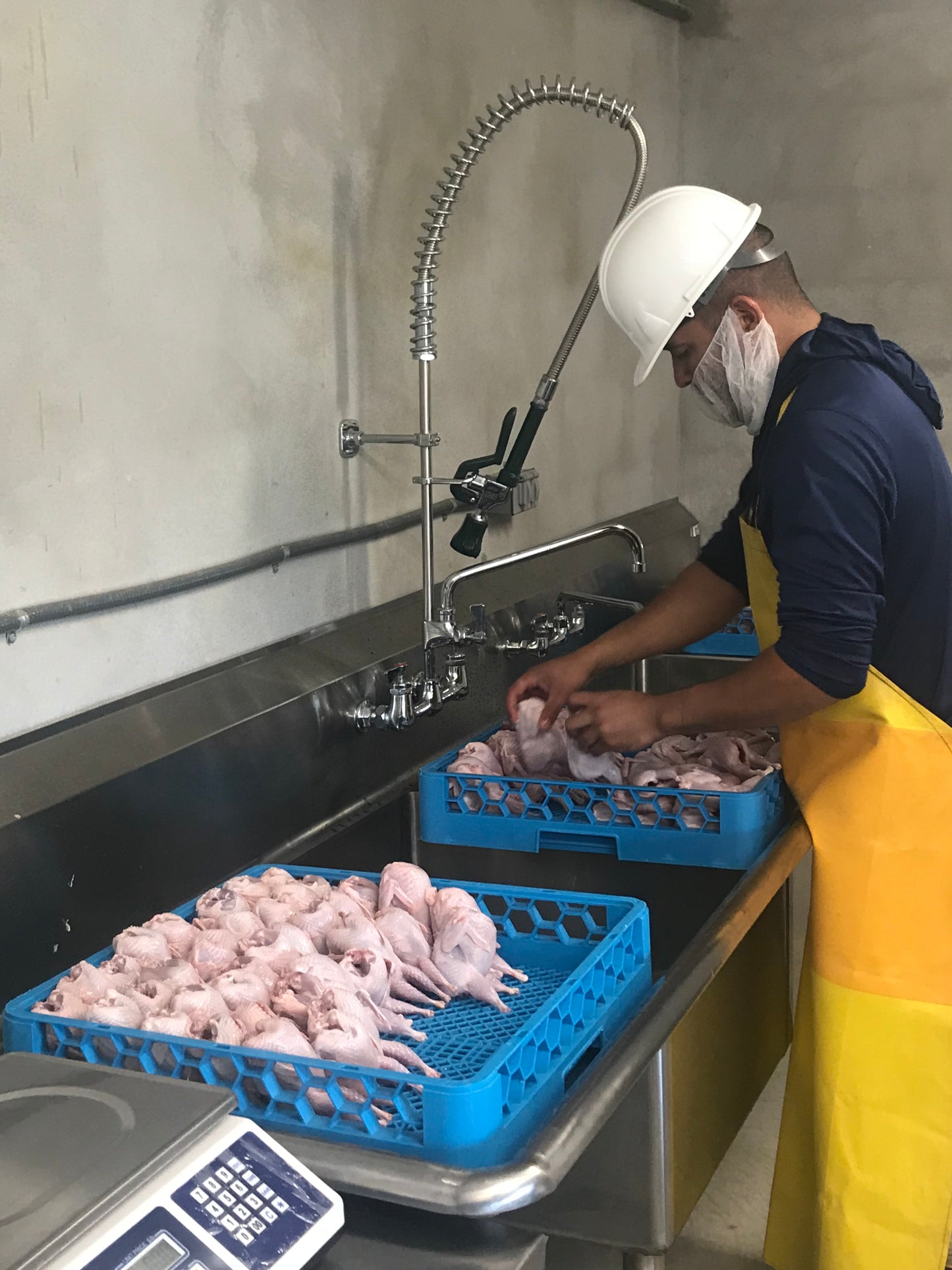 8 Whole Quail - for now this product is only available for Pick up at the Farm