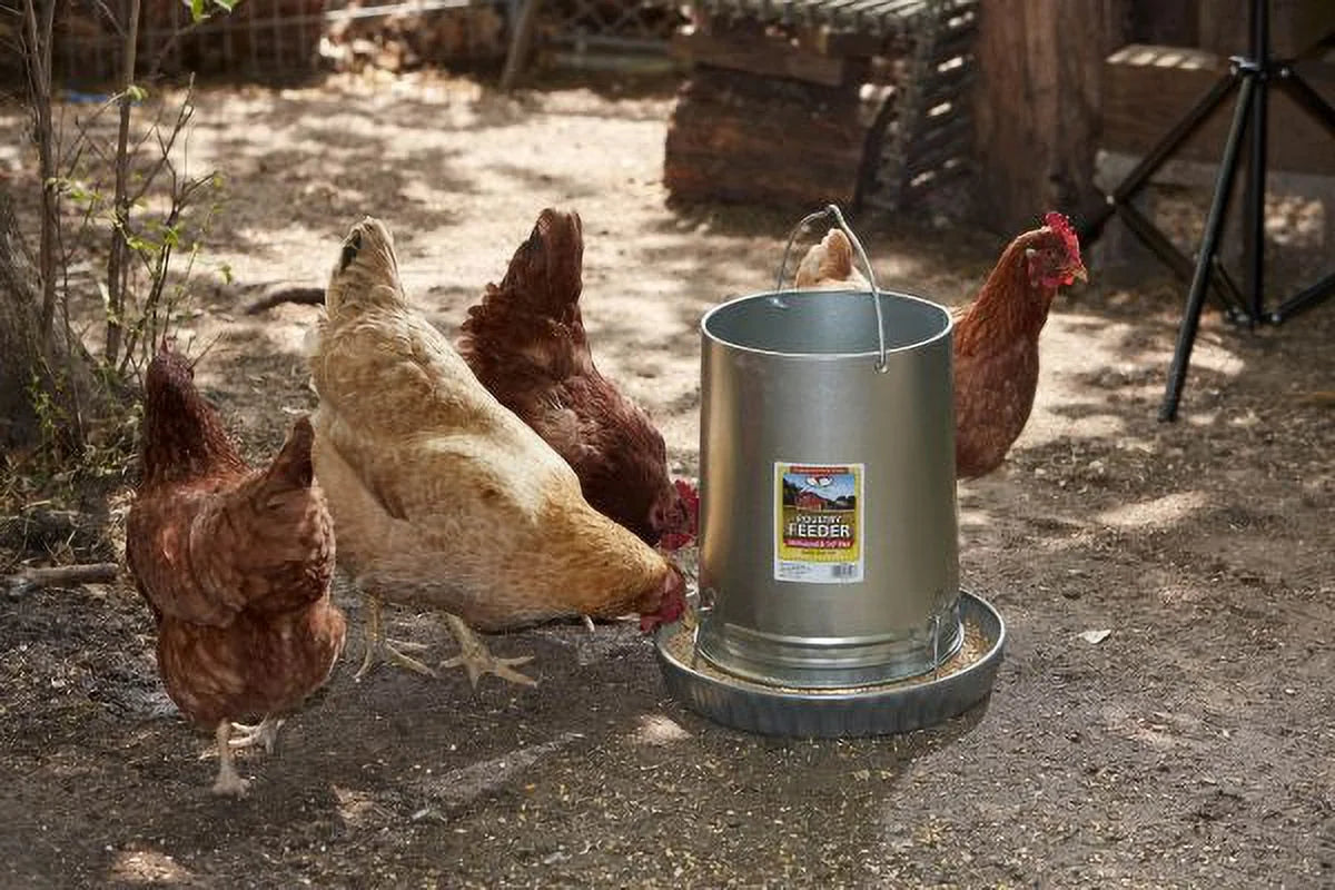 30 Pound Hanging Poultry Feeder Galvanized Steel Container with Feed Pan