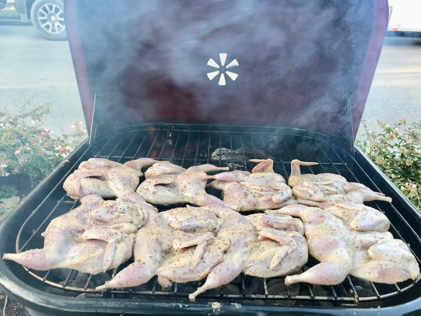 Whole Quail- Case with 48 Whole Quail - for now this product is only available for Pick up at the Farm