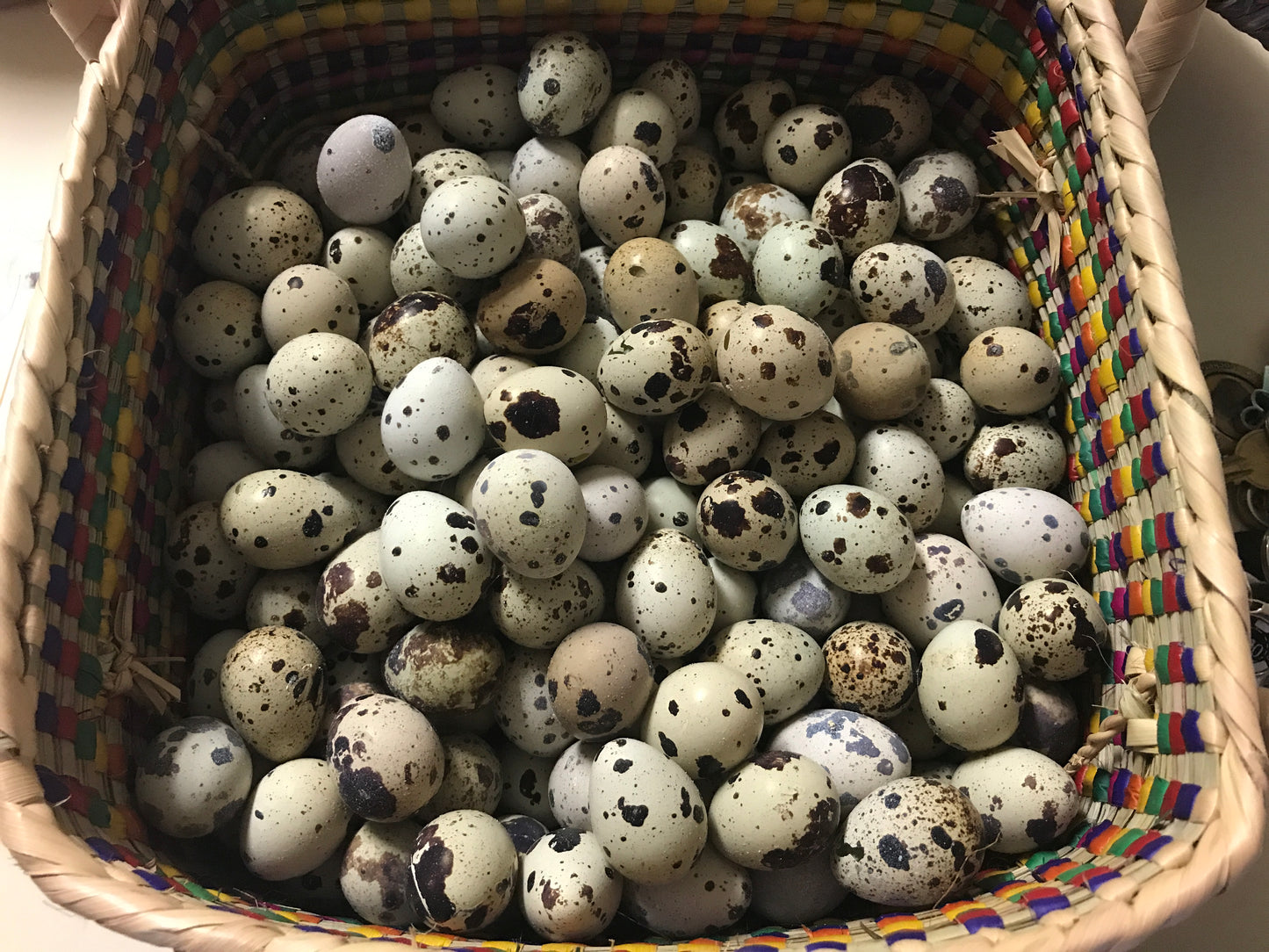 24 Fresh Quail Eggs- for now this product is only available for pick up at the farm.