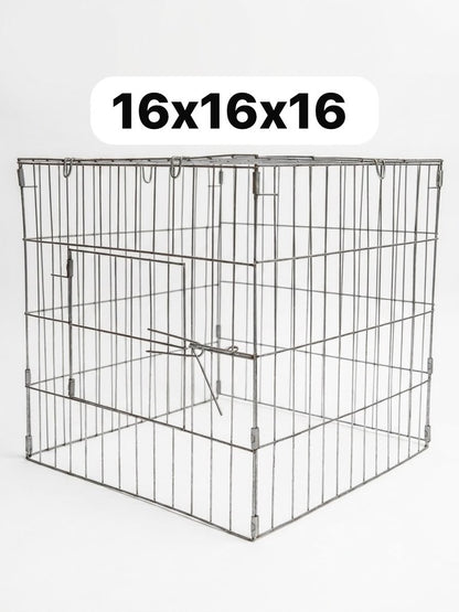 16x16x16 Scratching Pen / Rascadero 16x16x16