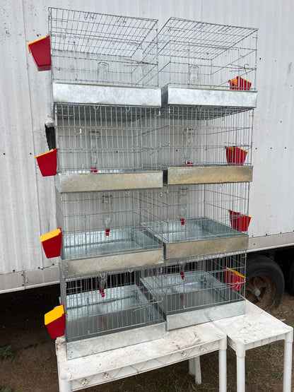 4 Full Cages size 20 x 20 x 16 ea with feeder & driker included. (956)270-2810 for additional info o more options.