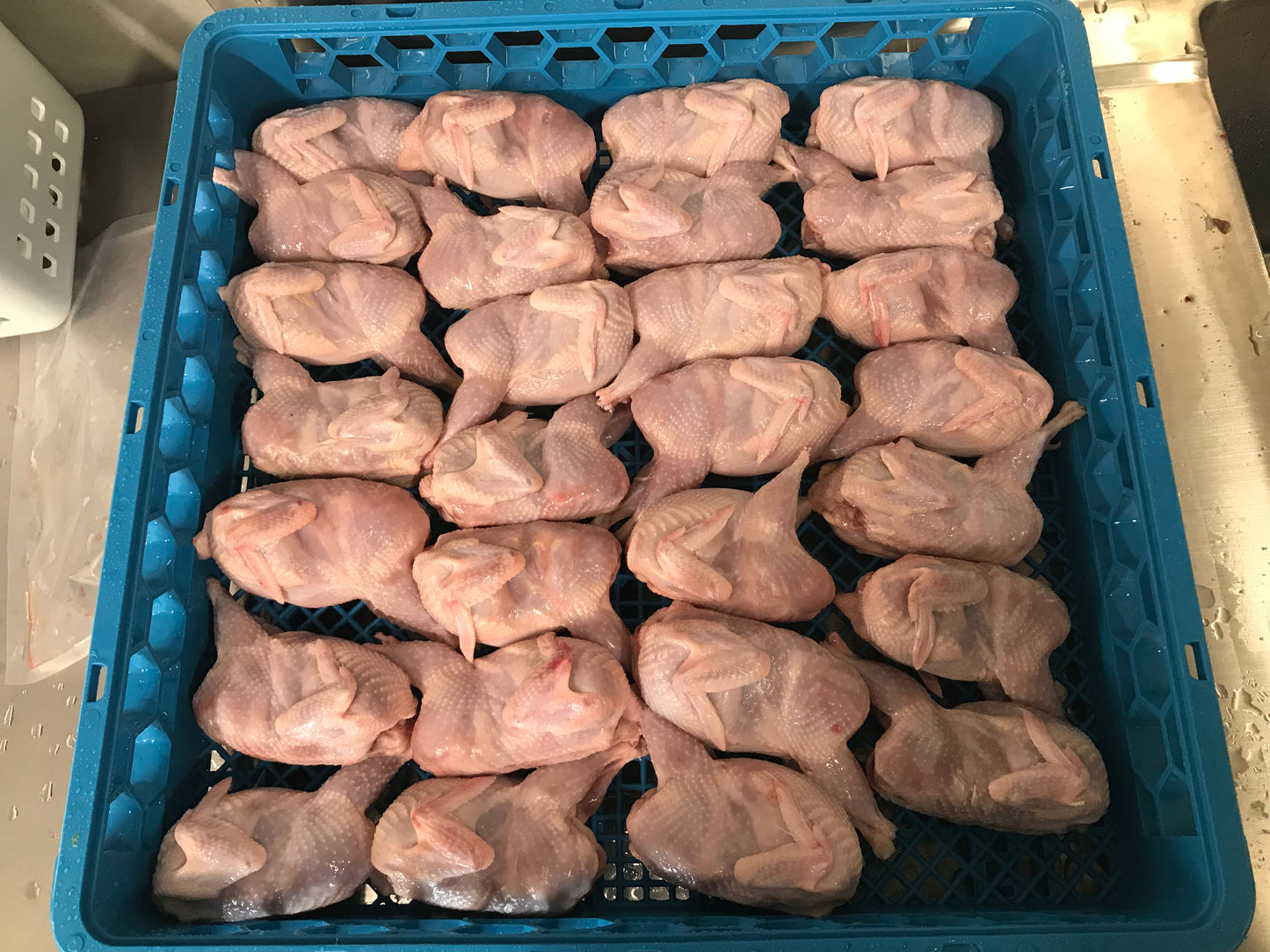 Whole Quail- Case with 48 Whole Quail - for now this product is only available for Pick up at the Farm