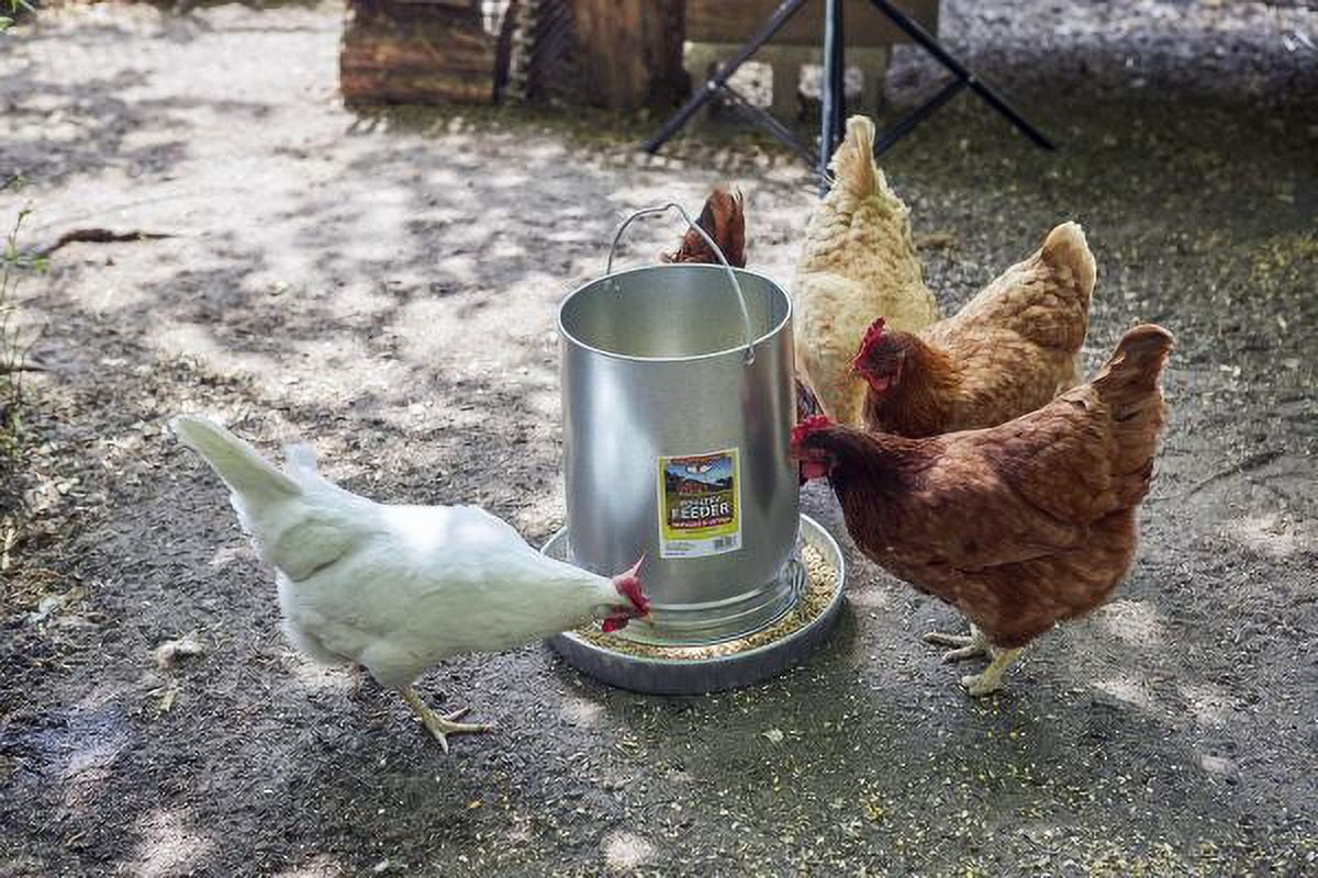 30 Pound Hanging Poultry Feeder Galvanized Steel Container with Feed Pan