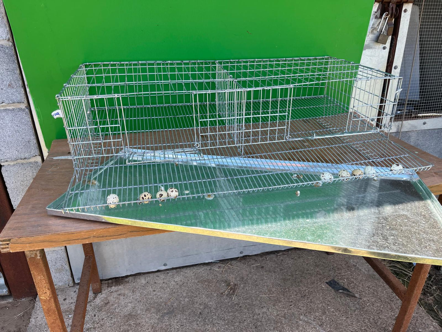 QUAIL LAYING CAGE WITH TRAY / Jaula de postura para codornices con bandeja